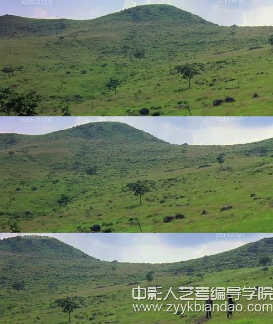 編導培訓