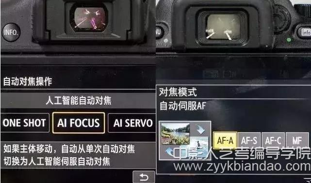 智能自動對焦.jpg