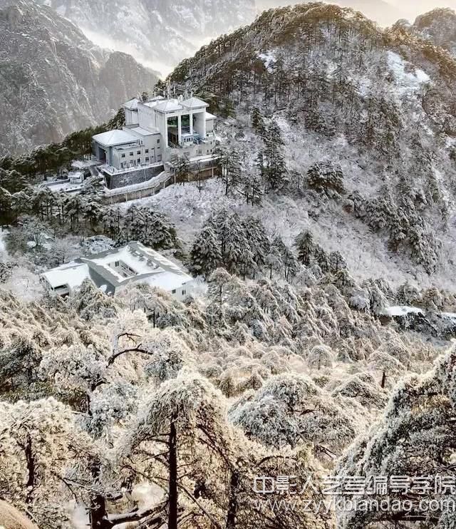 豎拍2.jpg