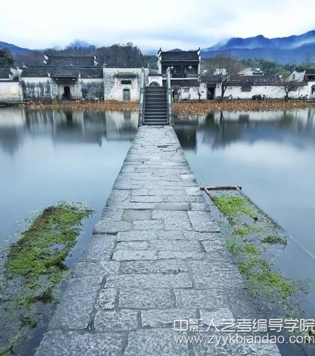 豎拍圖.jpg