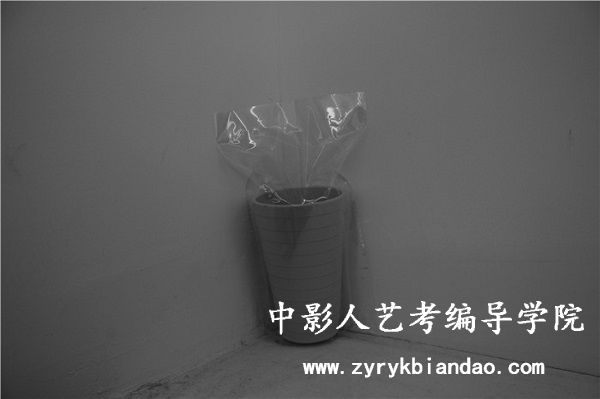 攝影攝像