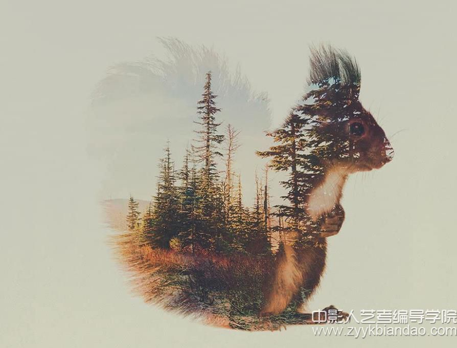 雙重曝光.jpg